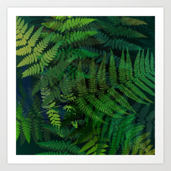 Forest Fern Art Print