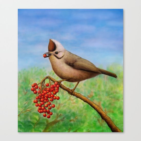 Taiwan Yuhina Canvas Print