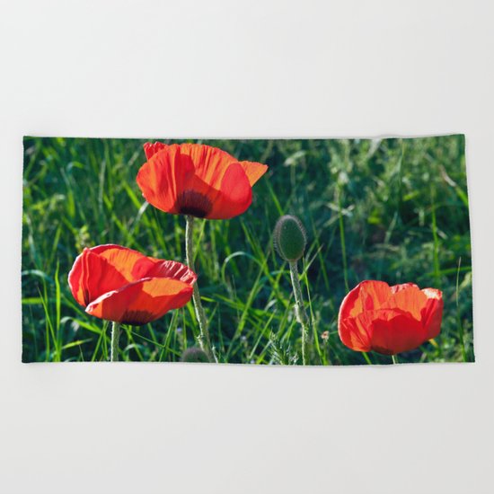 Red Poppies on the summer meadow Beach Towel
