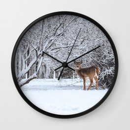 White-tailed Wonderland  Wall Clock