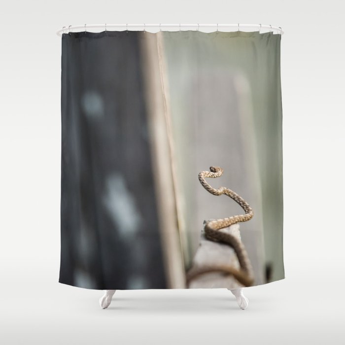 Snake At Bako National Park Borneo Shower Curtain By Antonypotts