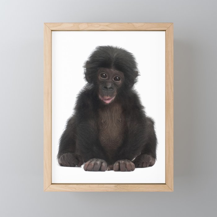 Bonobo Monkey Framed Mini Art Print
