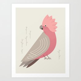 Galah, Bird of Australia Art Print