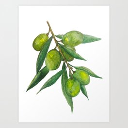 Watercolor Olive Branch Art Print