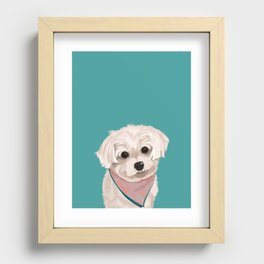 Zoey the Yorkie Poo Recessed Framed Print