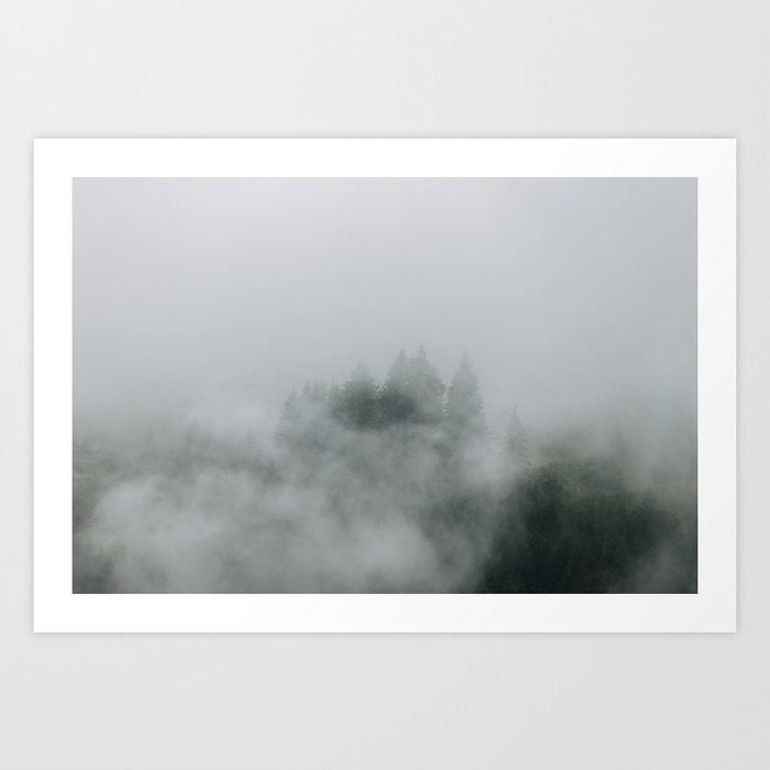 Mysterious Forest In Fog Art Print