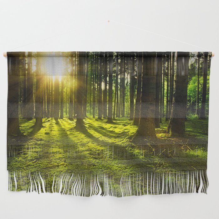 Forest Sunlight Landscape Photo Wall Hanging