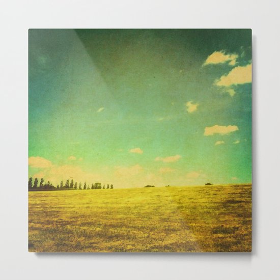 A Summer Day Metal Print