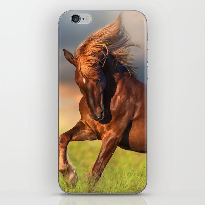 Horse Photography 61 iPhone Skin