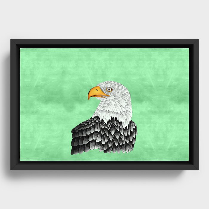 Bald eagle drawing Framed Canvas