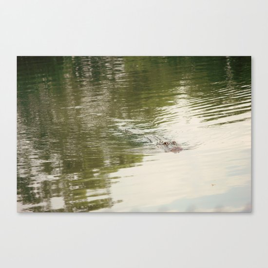 I See You Canvas Print