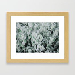 Desert Green Framed Art Print