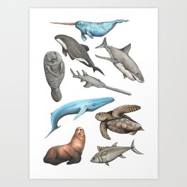 Endangered Sea Creatures Print Art Print