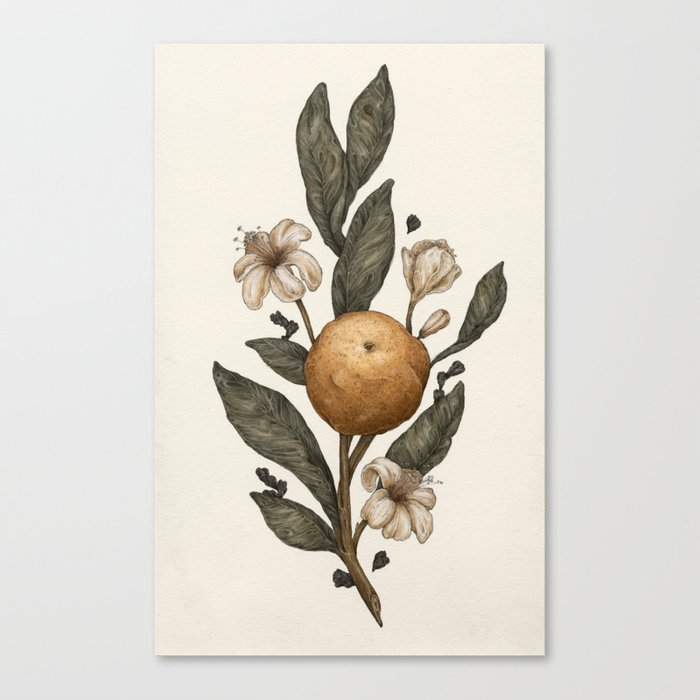 Clementine Canvas Print