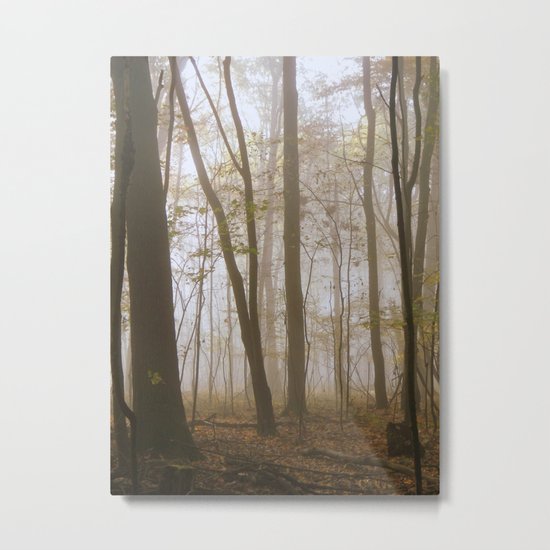 Lose Yourself Metal Print