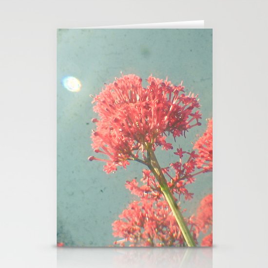 Raspberry Dream Stationery Cards