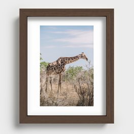 Giraffe in Africa | Wildlife photographer | Recessed Framed Print