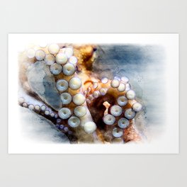 Tentacles of octopus close up watercolor Art Print