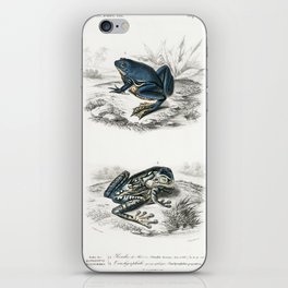 Shrinking Frog & Black-Spotted Casque-Headed Tree Frog iPhone Skin