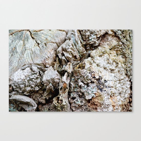 Tree Canvas Print