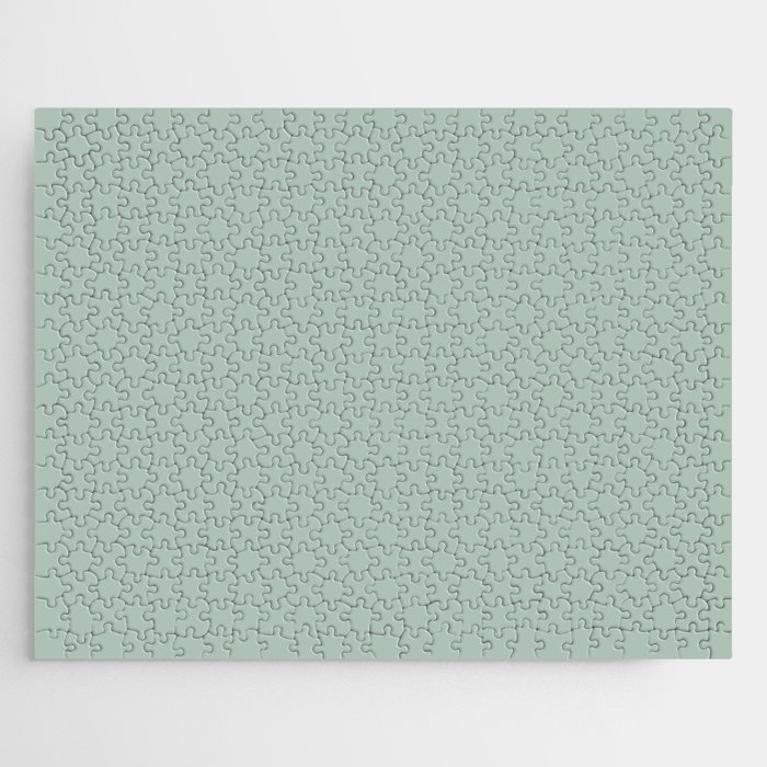 Light Gray-Green Solid Color Pantone Aqua Foam 14-5707 TCX Shades of Green Hues Jigsaw Puzzle