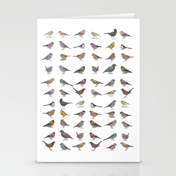 garden birds, drawn in watercolour pencils Stationery Cards