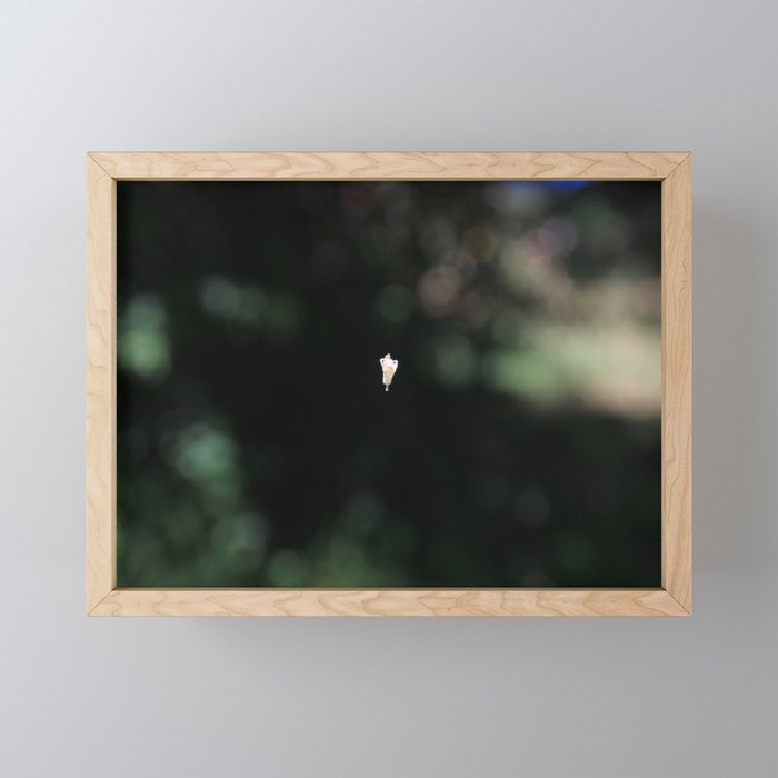 flor Framed Mini Art Print