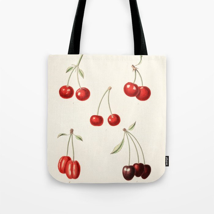 Vintage Cherry Illustration Tote Bag by BaconFactory | Society6