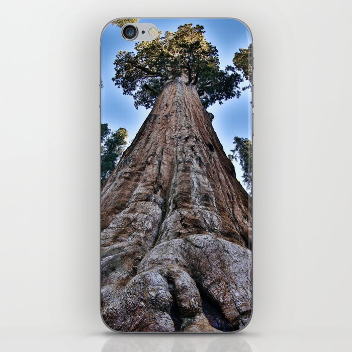 Redwood big II portrait size; redwoods of California; John Muir woods giant trees nature landscape color photograph / photography iPhone Skin