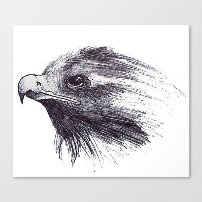 Black Bird / Crow Canvas Print