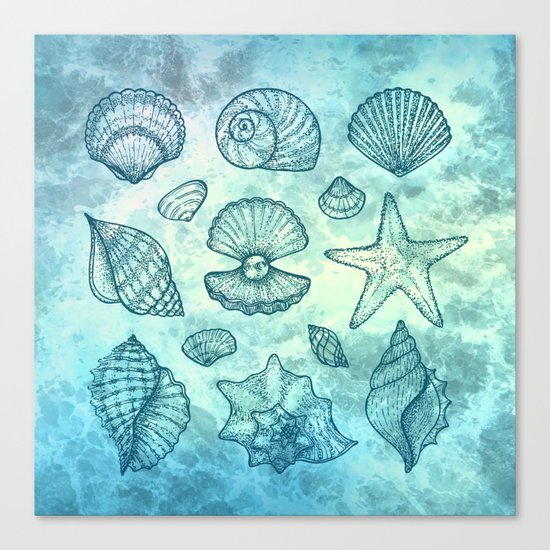 Blue Seashells Canvas Print
