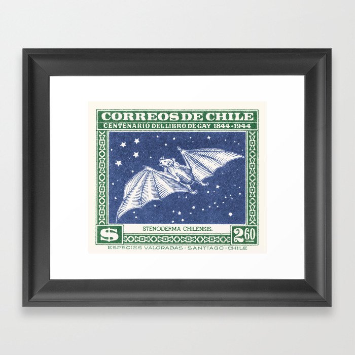 1948 CHILE Red Fruit Bat Postage Stamp Framed Art Print