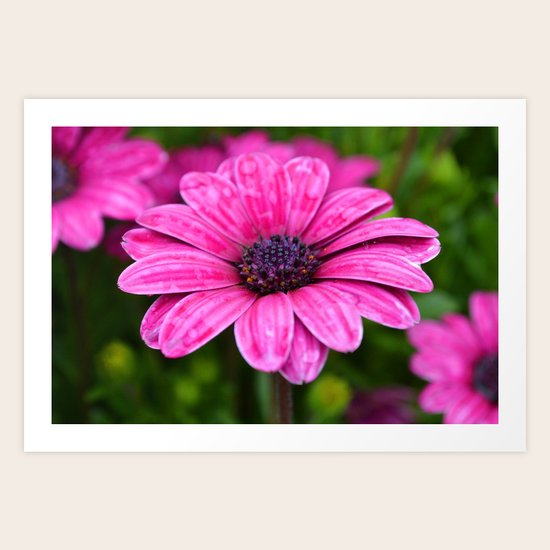 Purple Art Print