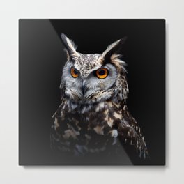 owl patterns / owl funny , bird owl Metal Print