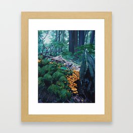 Hidden Acropolis Framed Art Print