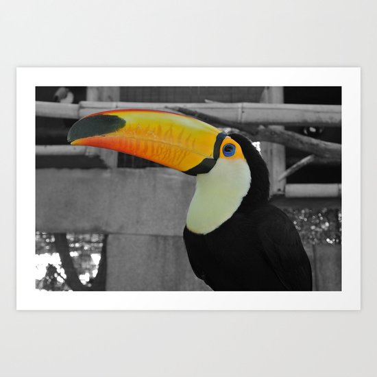 Bring me color Art Print