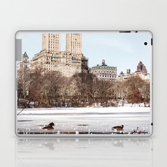 Central Park Winter Laptop & iPad Skin