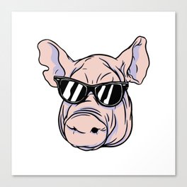 Cool Pig Canvas Print