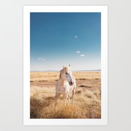 White LEGGY HORSE Hanging Paper Photo Frames Set Room Art Decoration 