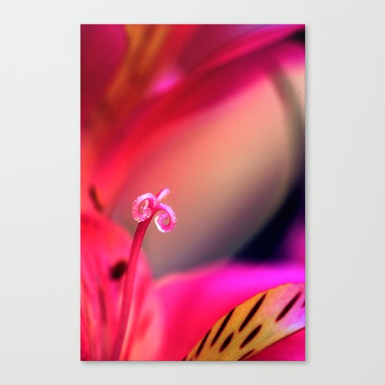 Myriad of Colours Canvas Print