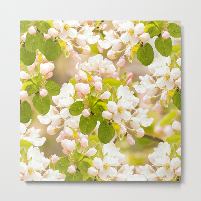 Apple tree branches with lovely flowers and buds on a pastel green background #decor #society6 #buya Metal Print