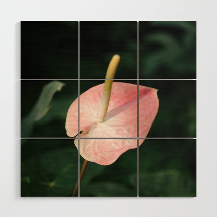 floral composition no. 2 Wood Wall Art