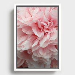 Wavy pink rose petals Framed Canvas