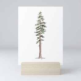 Coastal Redwood Watercolor Mini Art Print