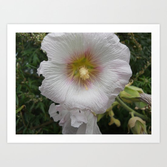 Center Art Print