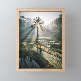 Rice Terrance Sunrise Framed Mini Art Print