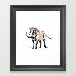 Warthog Framed Art Print