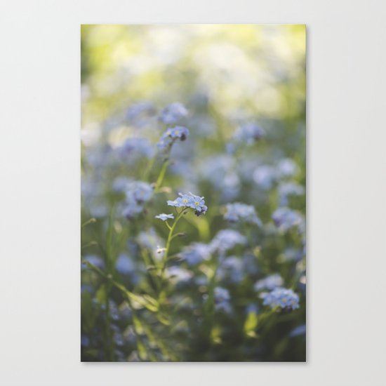 Forget-me-not meadow Spring Flower Flowers Floral on #Society6 Canvas Print