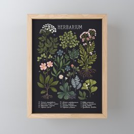 Herbarium ~ vintage inspired botanical art print ~ black Framed Mini Art Print