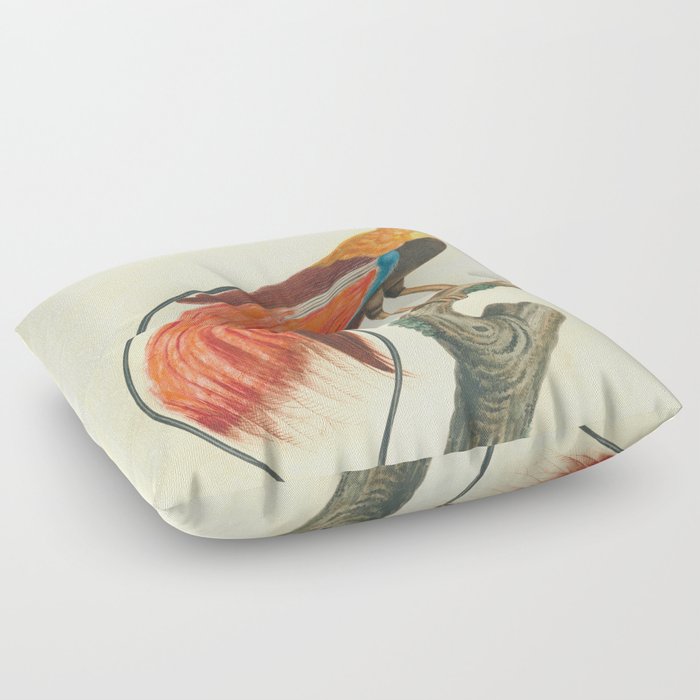 Raggiana Bird of Paradise Floor Pillow